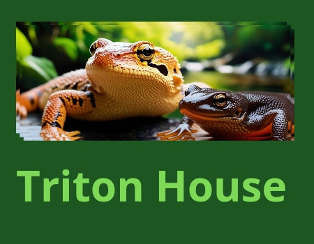 Triton House
